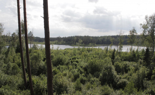 33_Vainagiai (2).jpg